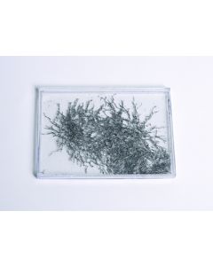 United Scientific Student Magnetic Field Demonstrator