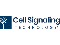 Cell Signaling Technology