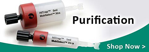 tubes and pipets