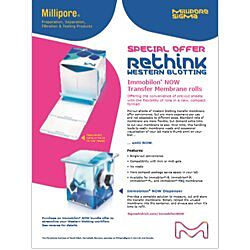 Immobilon NOW Promo Flyer