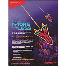 Small Pack Size Antibodies Flyer