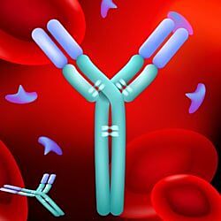 Antibodies and Assays