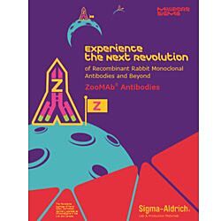 zoomab Antibodies Flyer